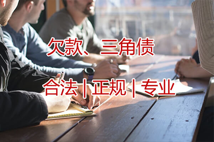 欠款无财产偿还如何应对？